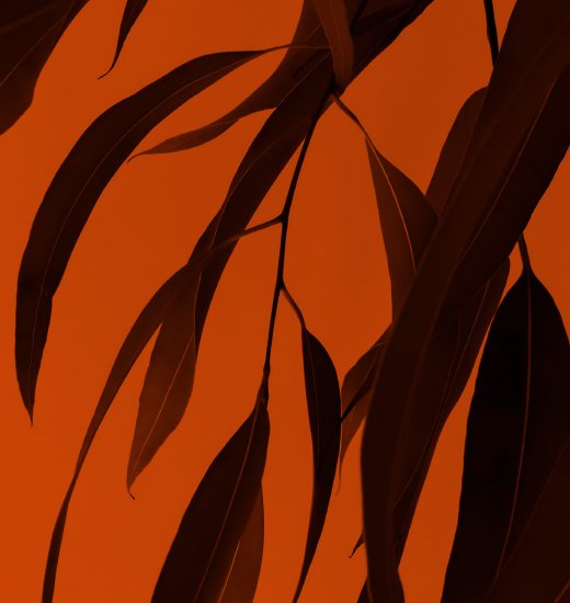 Depando screenshot